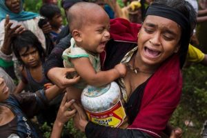 Rohingya